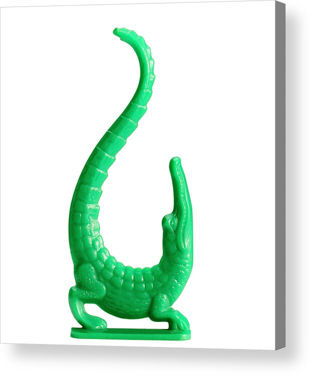 Alligator Acrylic Print featuring the drawing Green Plastic Alligator Figurine by CSA Images