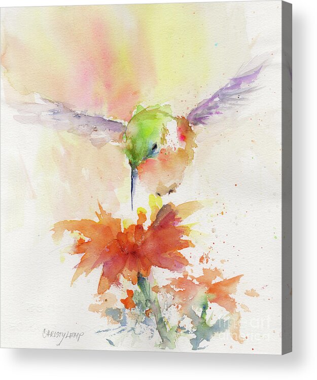 Hummingbird Acrylic Print featuring the painting Hummingbird Hover by Christy Lemp