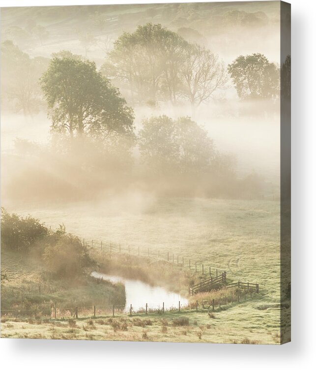 Mist Acrylic Print featuring the photograph Mist in the Vale by Anita Nicholson