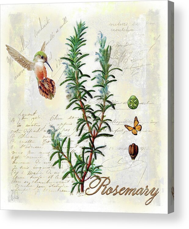 Herb Acrylic Print featuring the digital art Rosemary Herb by Tina Lavoie