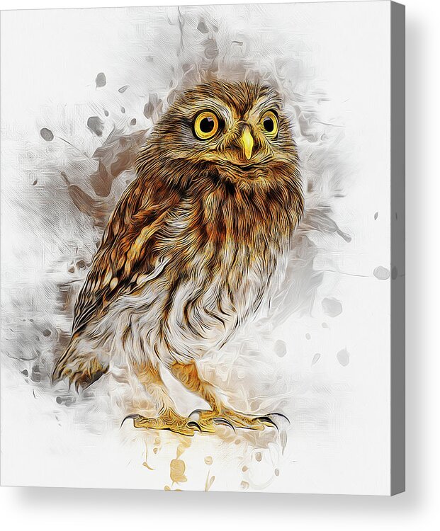 Owl Acrylic Print featuring the painting Snow Owl by Ian Mitchell