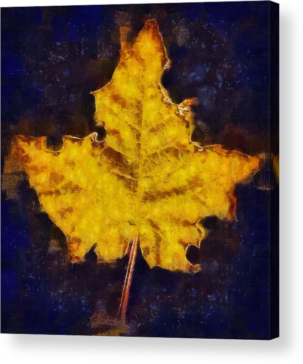 Autumn Acrylic Print featuring the mixed media Autumn Leaf by Christopher Reed