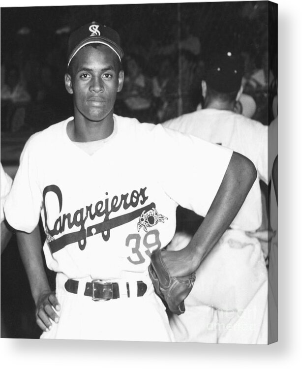 1950-1959 Acrylic Print featuring the photograph Roberto Clemente by National Baseball Hall Of Fame Library