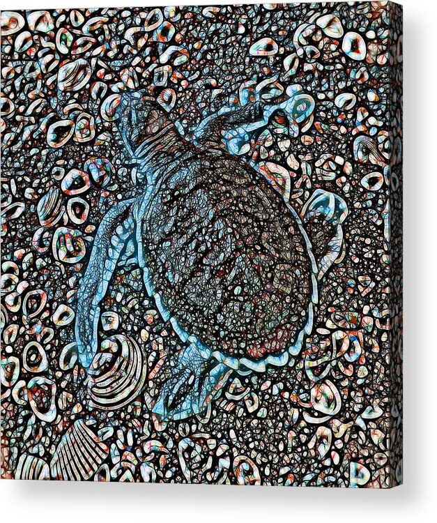 Turtle Acrylic Print featuring the mixed media Abstract Patterned Baby Flatback Turtles One OF Two by Joan Stratton