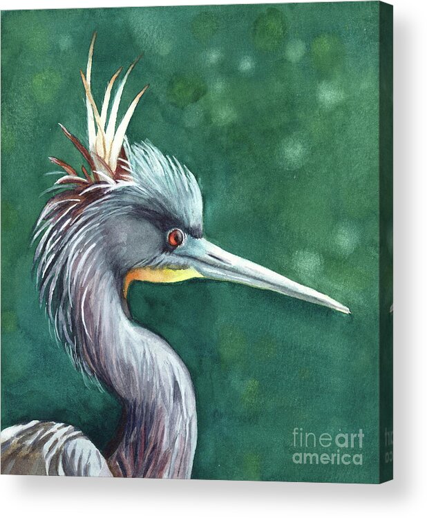 Bird Tri-colored Heron Acrylic Print featuring the painting Bad Hair Day by Vicki B Littell
