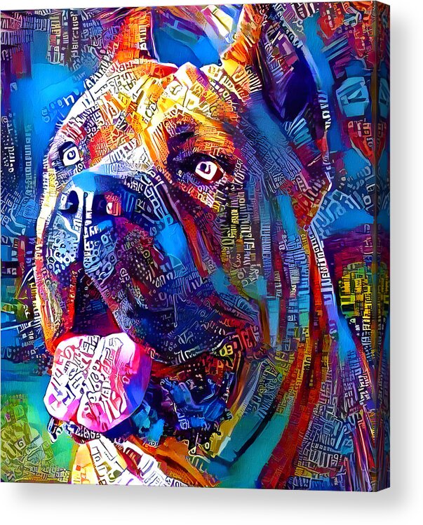 Cane Corso Acrylic Print featuring the digital art Cane Corso head - colorful painting by Nicko Prints