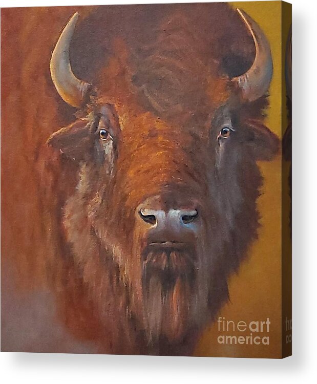 Bison Bull Acrylic Print featuring the painting Chief by Paul K Hill