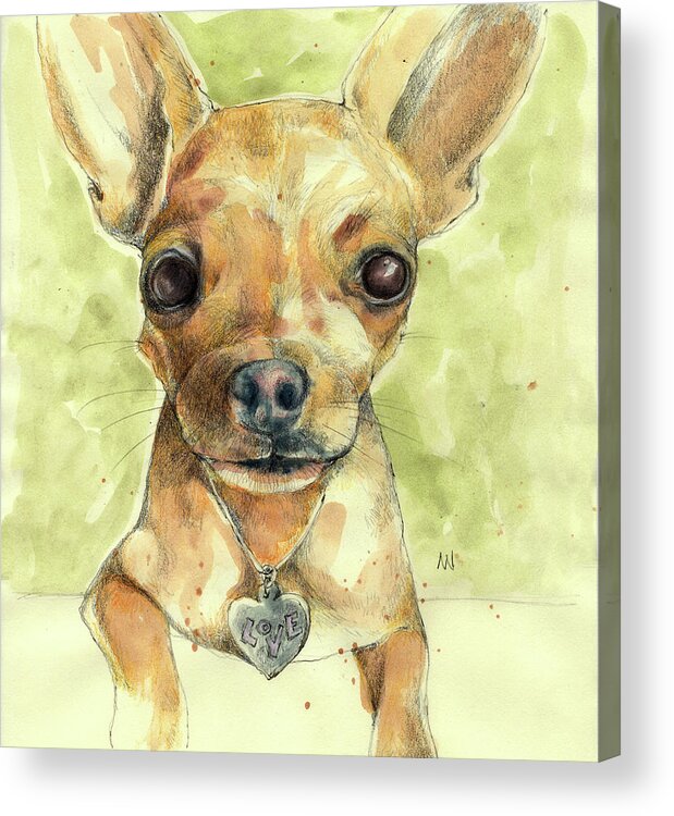 Love Puppy Acrylic Print featuring the painting Chihuahua Love by AnneMarie Welsh