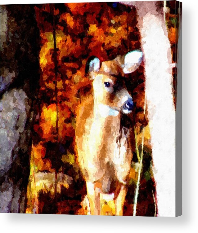 Deer Acrylic Print featuring the mixed media Deer in the Woods by Christopher Reed