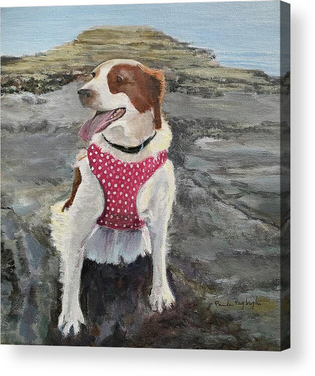 Acrylic Acrylic Print featuring the painting Dotti by Paula Pagliughi