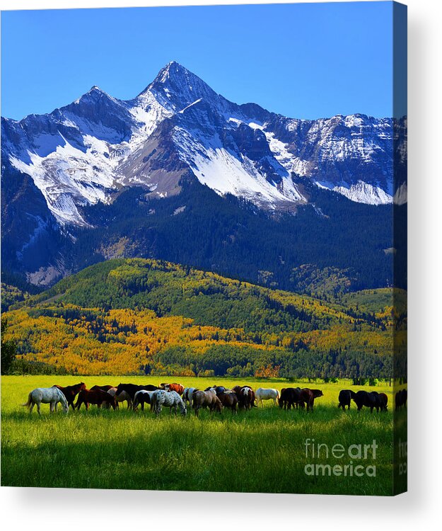 Landscape Acrylic Print featuring the photograph Rocky Mountains Beauty by David Lee Thompson