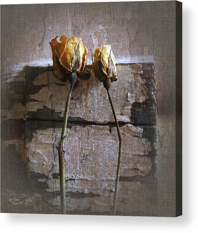 Roses Acrylic Print featuring the photograph Rustic Roses by Rene Crystal