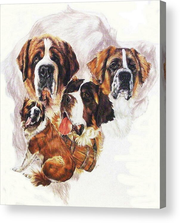 Working Dog Acrylic Print featuring the mixed media Saint Bernard Grouping by Barbara Keith
