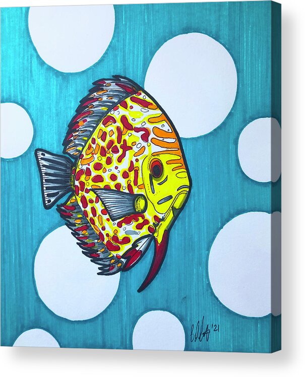 Discus Fish Acrylic Print featuring the drawing Spotted Discus Fish by Creative Spirit