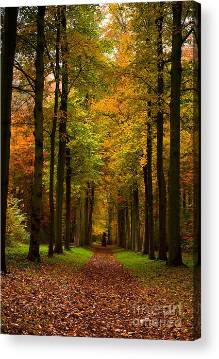 Footpath Acrylic Print featuring the photograph Footpath Carpet by Boon Mee