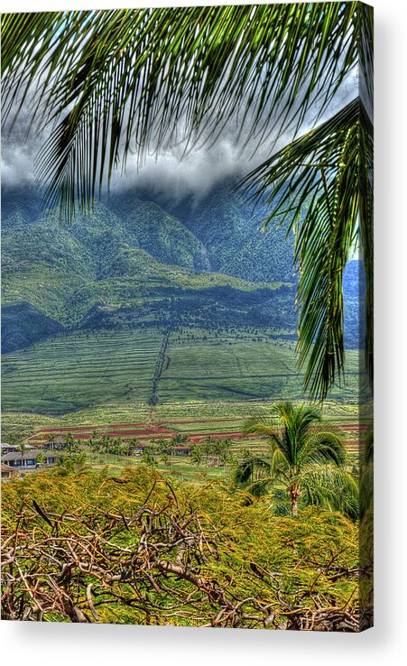 Landscape Acrylic Print featuring the photograph Maui Foot Hills by Arthur Fix