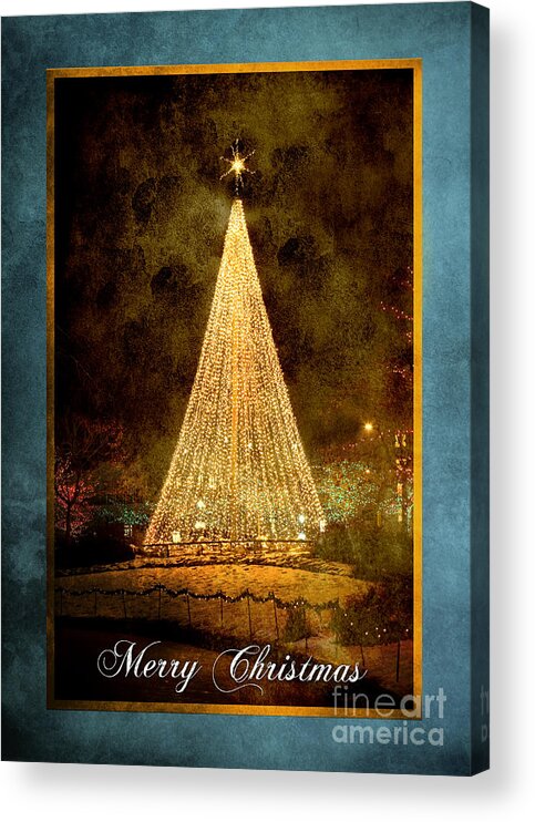 Christmas Acrylic Print featuring the photograph Christmas Tree in the City #1 by Cindy Singleton