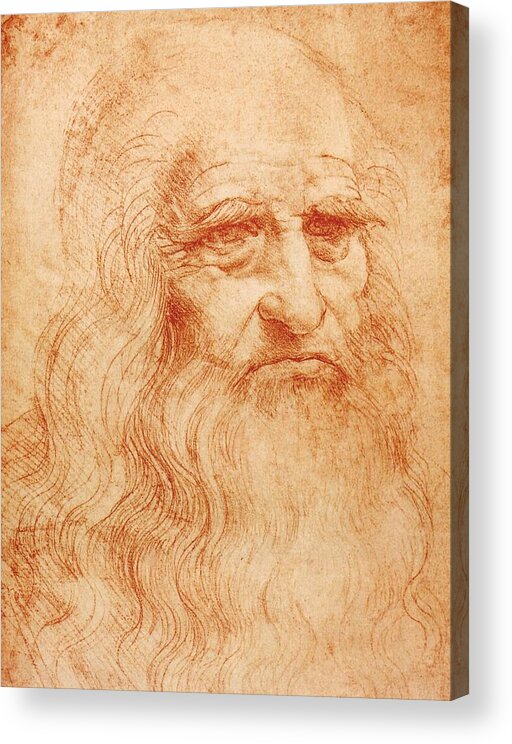 Turin Acrylic Print featuring the painting Self Portrait by Leonardo da Vinci