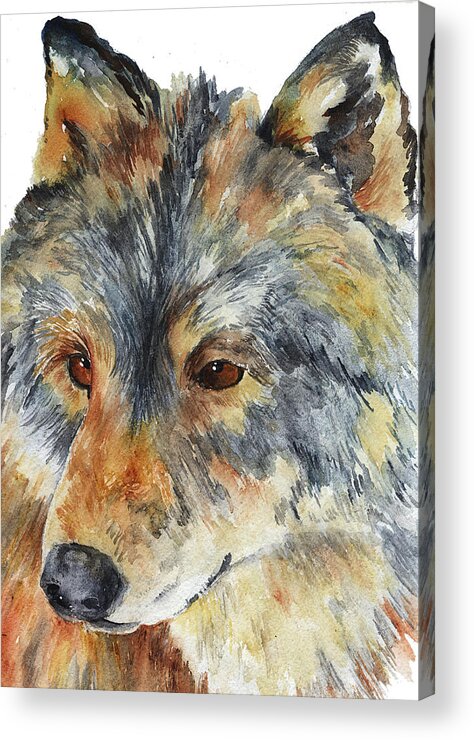 Wolf Acrylic Print featuring the painting Wolf by Sally Quillin