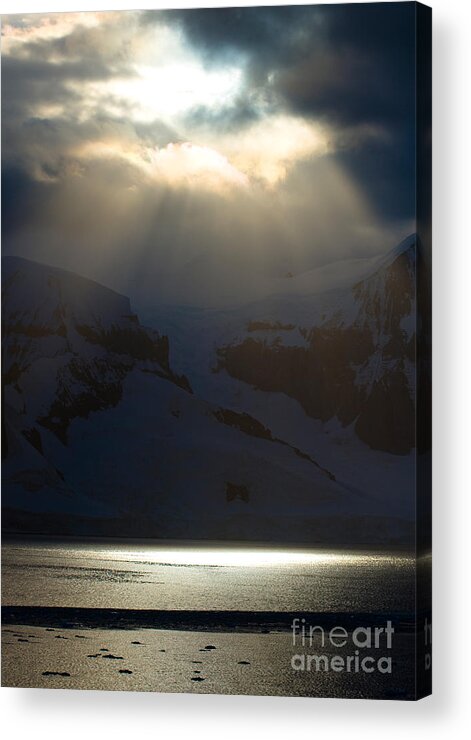Antarctica Acrylic Print featuring the photograph Antarctica #15 by John Shaw