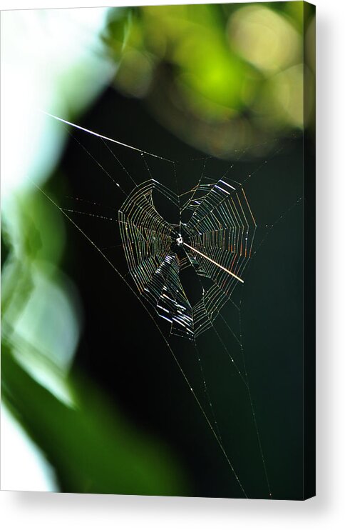 Heart Acrylic Print featuring the photograph Garden Valentine #2 by Rebecca Sherman