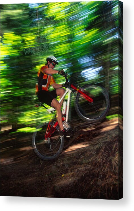 New England Acrylic Print featuring the photograph Young man mountain biking in a forest Stowe VT USA #3 by Don Landwehrle