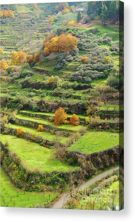 Amazing Colors Acrylic Print featuring the photograph Landscape Amazing colors mountains #2 by Bozena Simeth