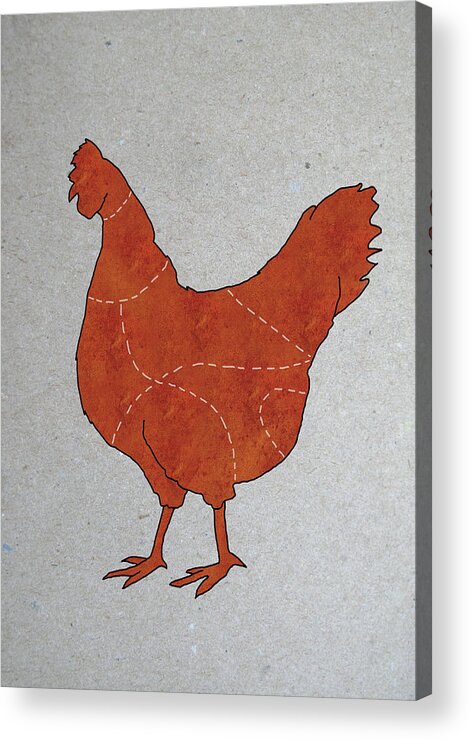 Animal Themes Acrylic Print featuring the digital art A Butchers Diagram Of A Chicken by Malte Mueller