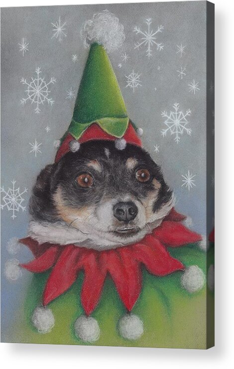 Pastels Acrylic Print featuring the pastel A Furry Christmas Elf by Pamela Humbargar