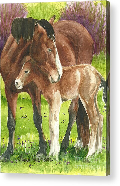 Mustang Acrylic Print featuring the painting A Little Cuddle by Linda L Martin