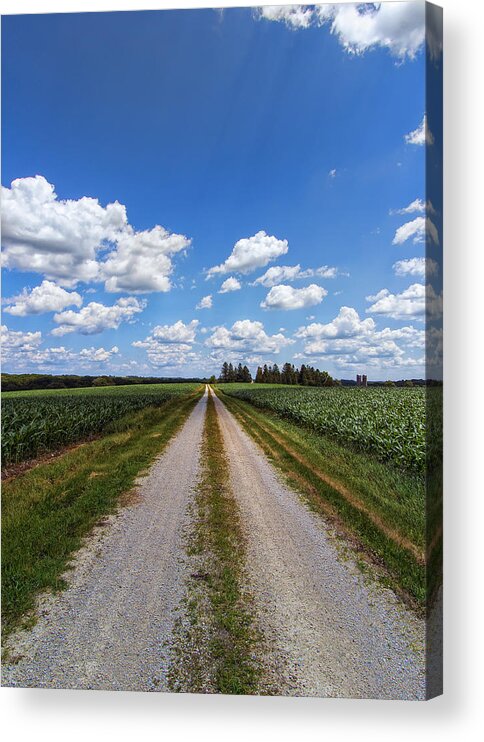 Sky Acrylic Print featuring the photograph A Long Rural Road by Bill and Linda Tiepelman