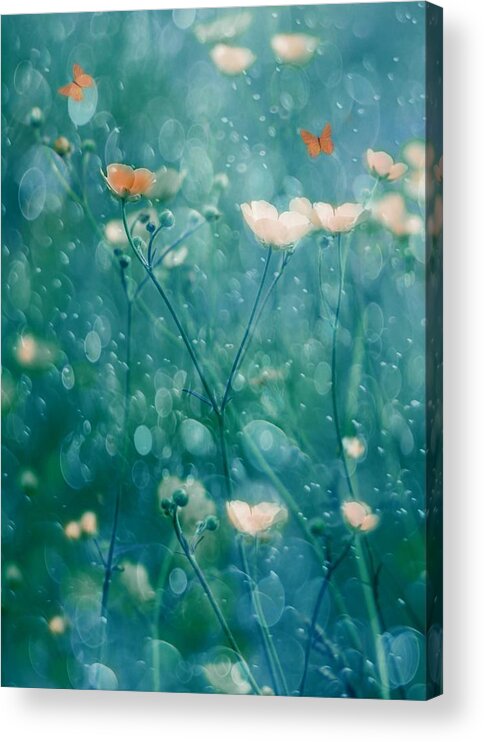 Butterfly Acrylic Print featuring the photograph A Memory Of June by Delphine Devos