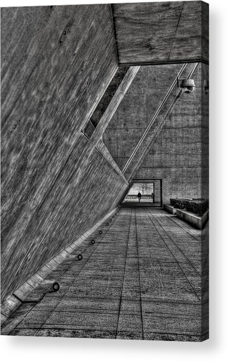 Dallas Acrylic Print featuring the photograph A Visitor by Mark Alder