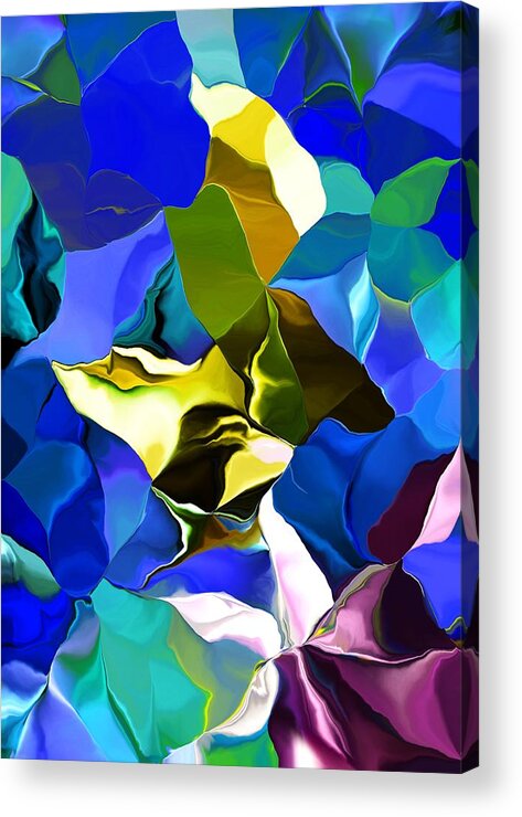 Fine Art Acrylic Print featuring the digital art Afternoon Doodle 020215 by David Lane