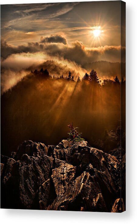 2011 Acrylic Print featuring the photograph Appalachian Dawn by Robert Charity