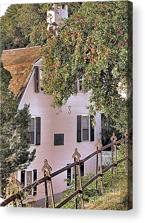 Apple Tree Acrylic Print featuring the photograph Apple Tree by Janice Drew