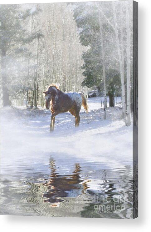 Winter Acrylic Print featuring the photograph Winter Snow Horse and Reflection by Stephanie Laird
