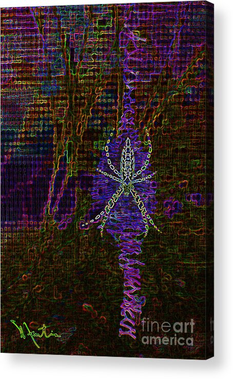 Spider Acrylic Print featuring the photograph Arthropod by Art Mantia