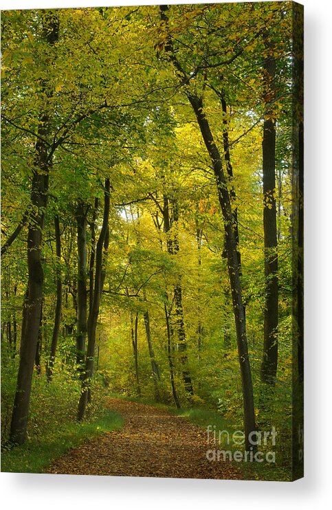 Nature Acrylic Print featuring the photograph Autumn Colors 23 by Rudi Prott