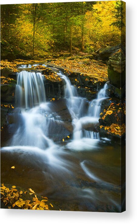 Ricketts Glen Acrylic Print featuring the photograph Autumn Falls - 90 by Paul W Faust - Impressions of Light