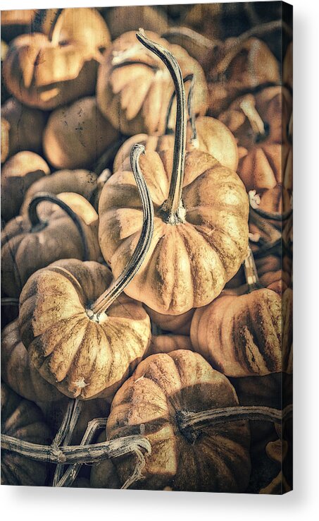 Pumpkins Acrylic Print featuring the photograph Autumn Grunge by Caitlyn Grasso