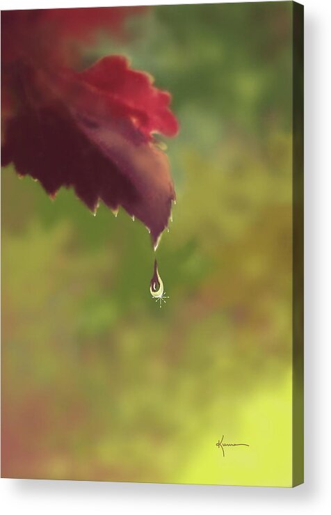 Autumn Acrylic Print featuring the photograph Autumn Rain by Kume Bryant