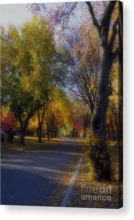 Soft Acrylic Print featuring the photograph Beautiful Autumn by Frank J Casella