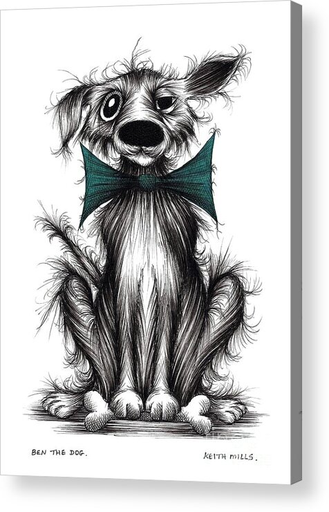 Dog In Bow Acrylic Print featuring the drawing Ben the dog by Keith Mills