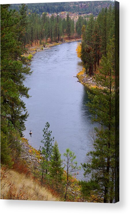 River Acrylic Print featuring the photograph Bend in the River by Ben Upham III