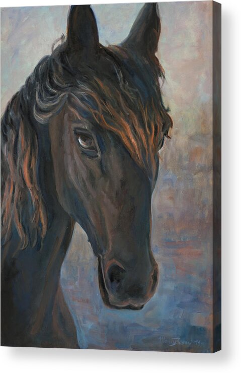 Black Horse Acrylic Print By Marco Busoni