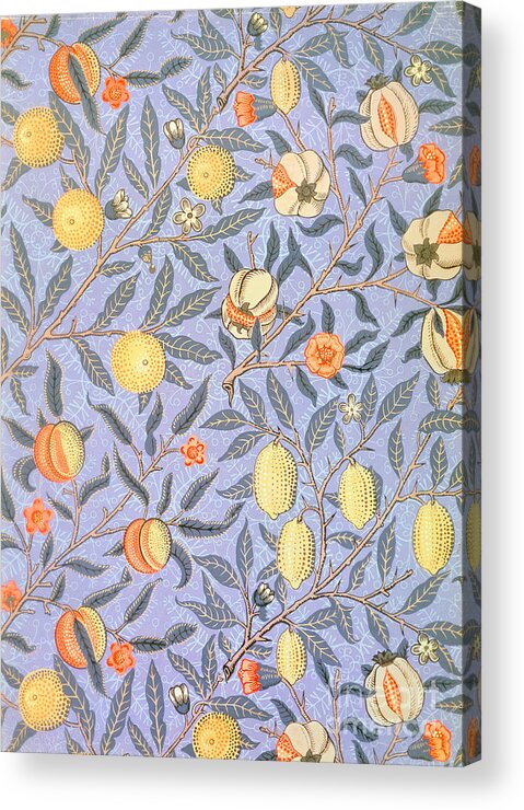 William Morris Acrylic Print featuring the drawing Blue Fruit by William Morris