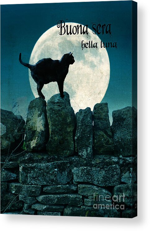Buona Sera Bella Luna Acrylic Print featuring the photograph Buona Sera Bella Luna by Jill Battaglia