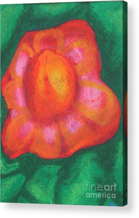 Flower Portrait Acrylic Print featuring the drawing Bursting Bloom by Jon Kittleson