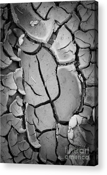 America Acrylic Print featuring the photograph Caprock Cracked Mud by Inge Johnsson